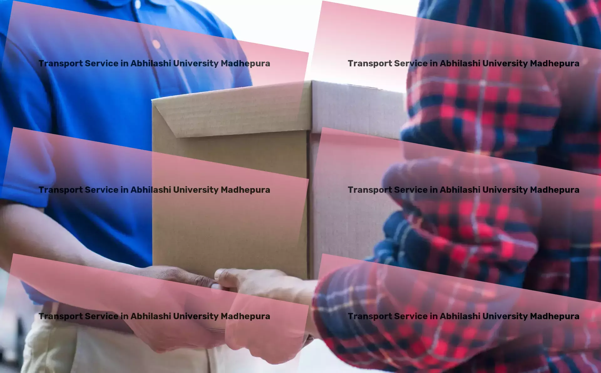 Courier And Parcel in Abhilashi University Madhepura, Bihar (BR) Professional logistics solutions